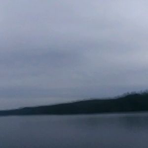 Meet your Posher, Kiley